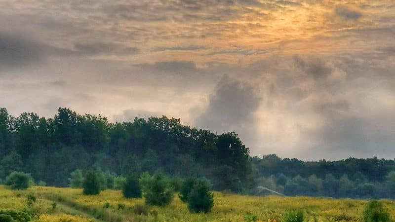 Tallmadge Meadows Area Metropark - Tallmadge, OH