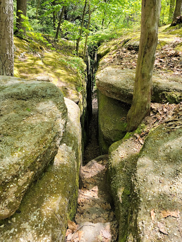 Thompson Ledges Township Park