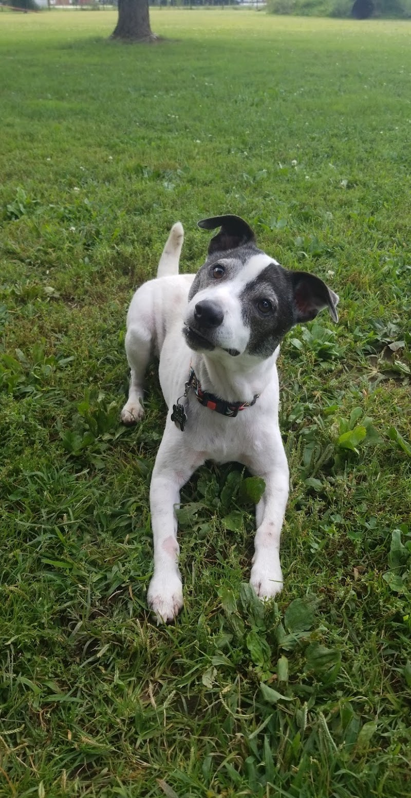 Bark Park - Tiffin, OH