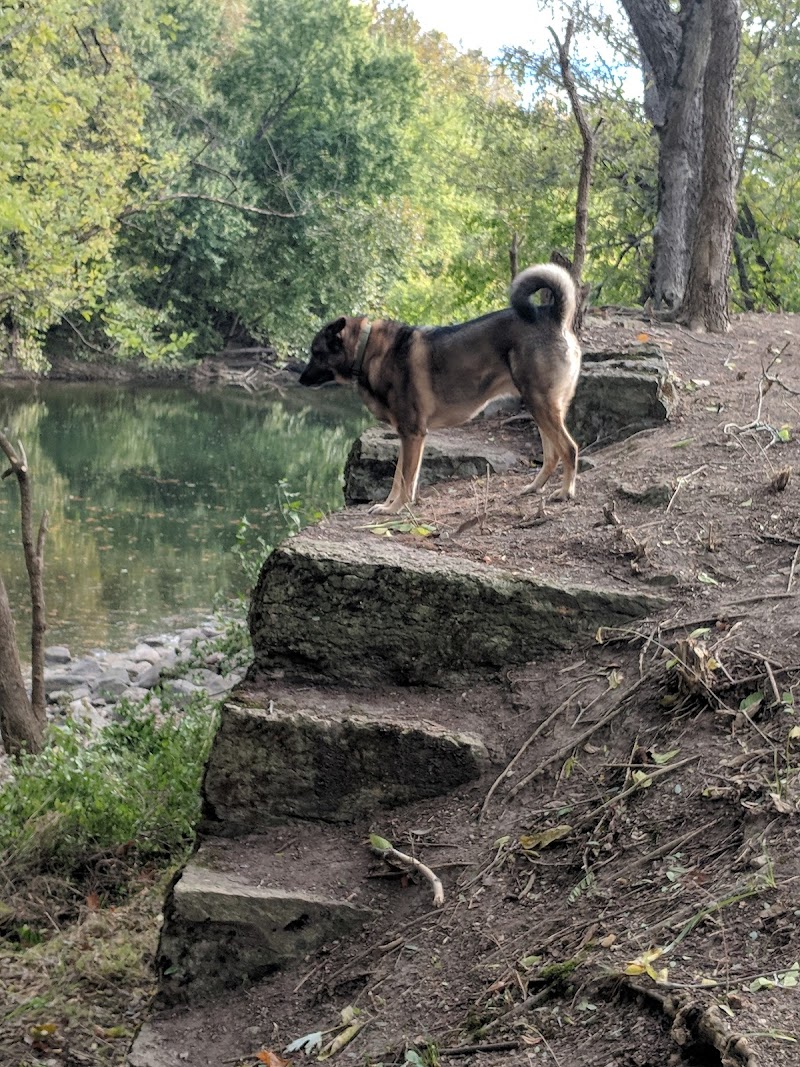 Freeman Prairie - Tipp City, OH