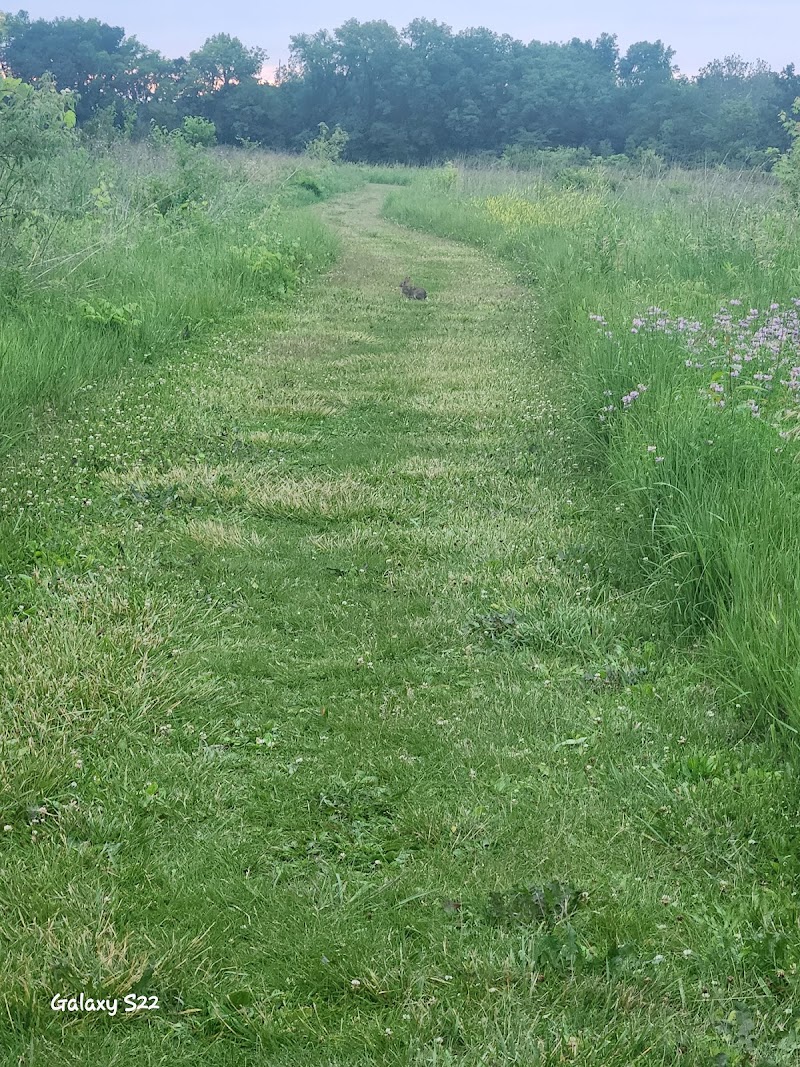 Freeman Prairie - Tipp City, OH