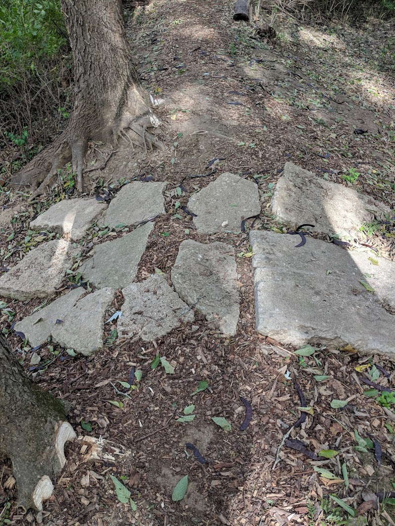 Freeman Prairie - Tipp City, OH