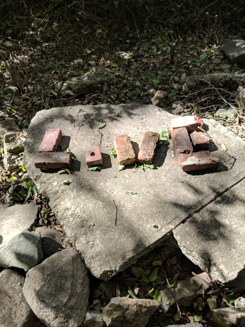 Freeman Prairie - Tipp City, OH