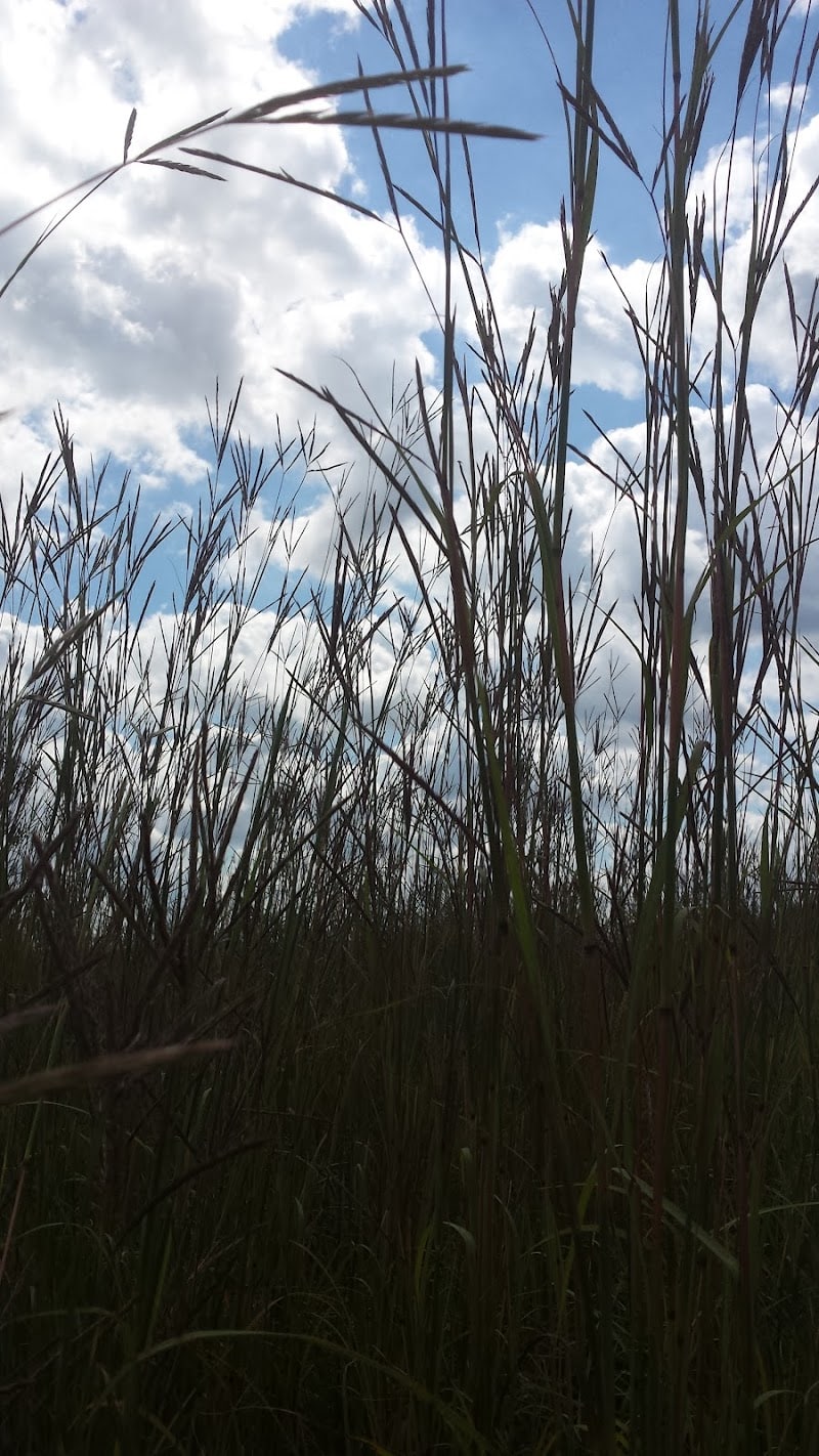 Freeman Prairie - Tipp City, OH