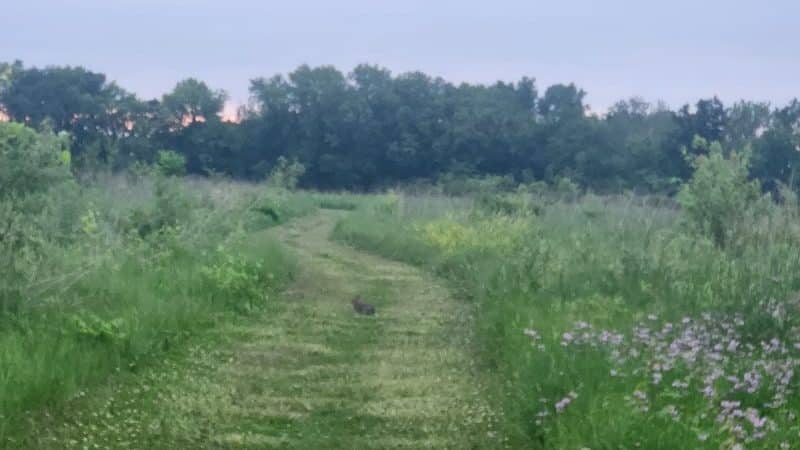Freeman Prairie - Tipp City, OH