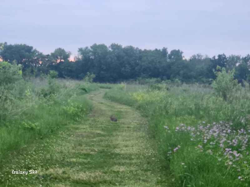 Freeman Prairie - Tipp City, OH