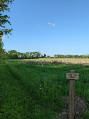 Honey Creek Preserve