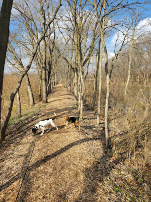 Roger Presley Trail and Garden