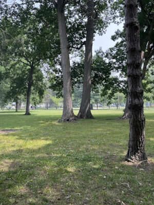 Close Park