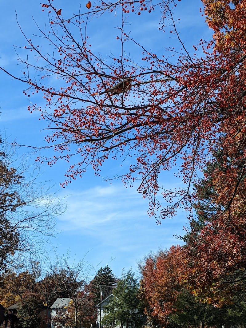 Close Park - Toledo, OH