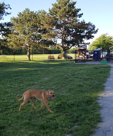 Glass City Dog Park (Membership Required)