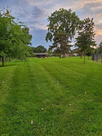 Glass City Dog Park (Membership Required) - Toledo, OH
