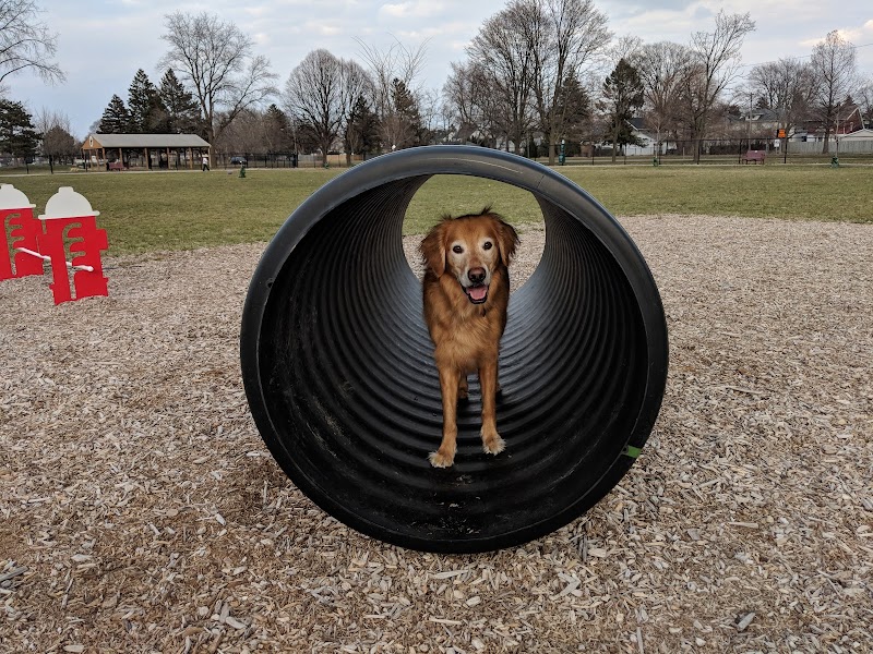 Glass City Dog Park (Membership Required) - Toledo, OH