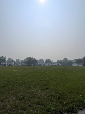 Library Village Park