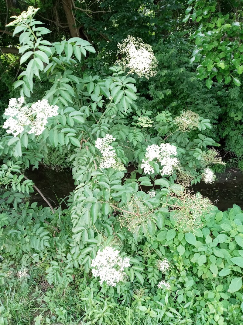Lincoln Green Park - Toledo, OH