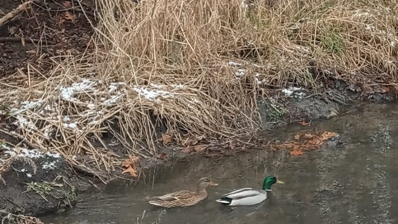 Lincoln Green Park - Toledo, OH