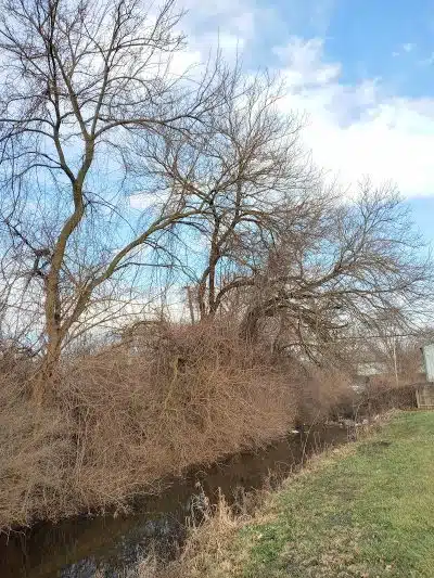 Lincoln Green Park - Toledo, OH