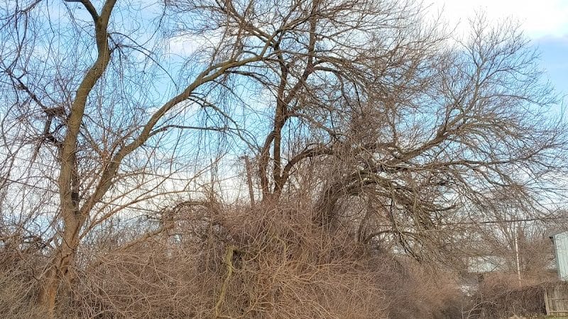 Lincoln Green Park - Toledo, OH