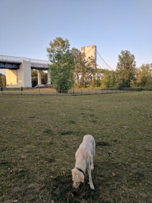 Middlegrounds Metropark