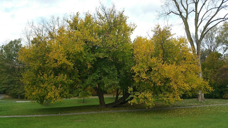 Pine Glen Park - Toledo, OH