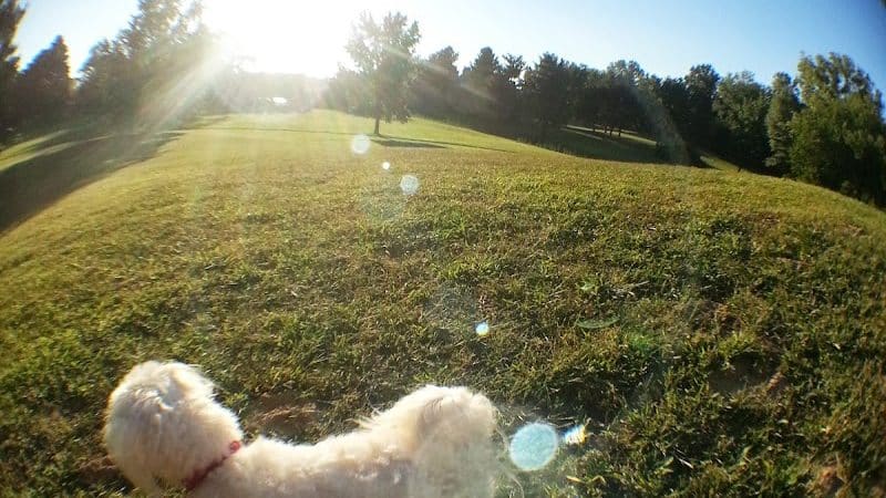Pine Glen Park - Toledo, OH