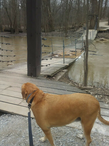 Swan Creek Preserve Metropark