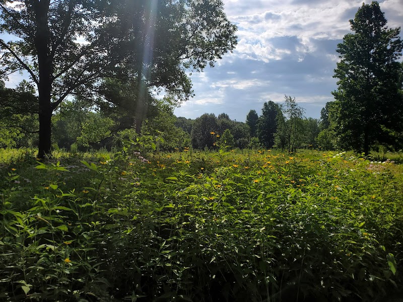 Swan Creek Preserve Metropark - Toledo, OH