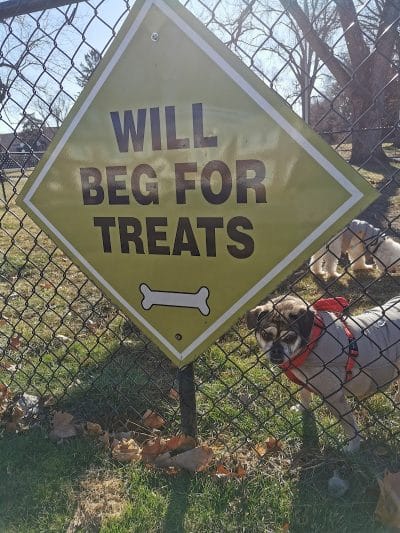 The Bark Park - Toledo, OH