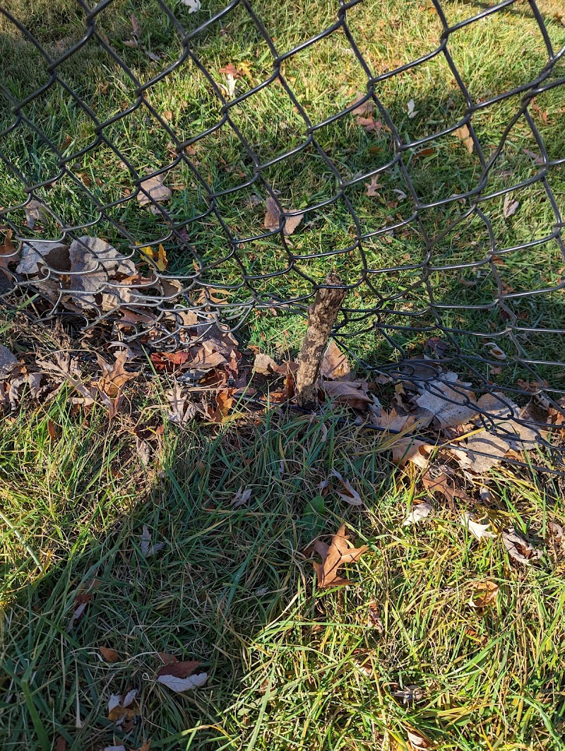 The Bark Park - Toledo, OH