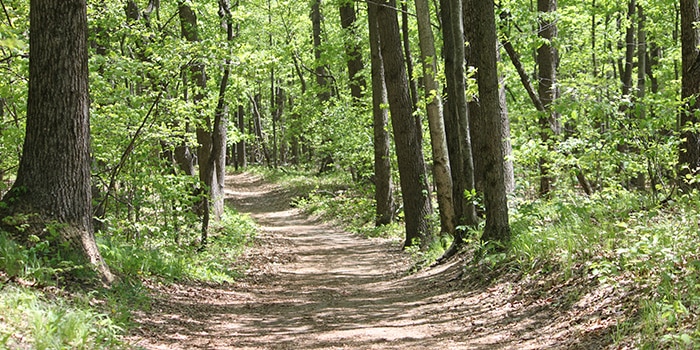 Wildwood Preserve Metropark - Toledo, OH