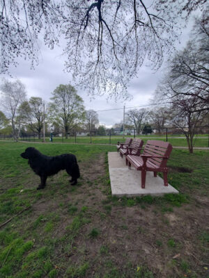 Woodsdale Park