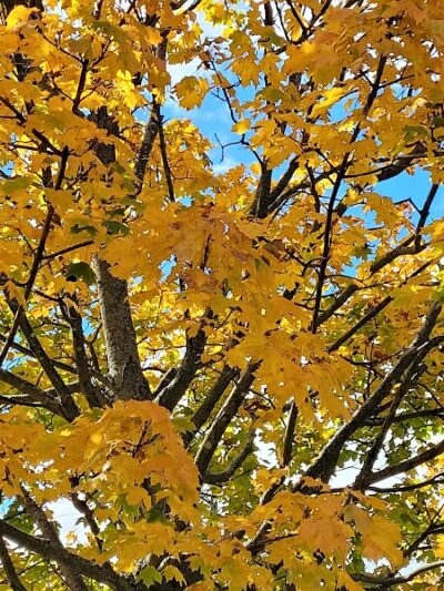 Trenton Community Park - Trenton, OH