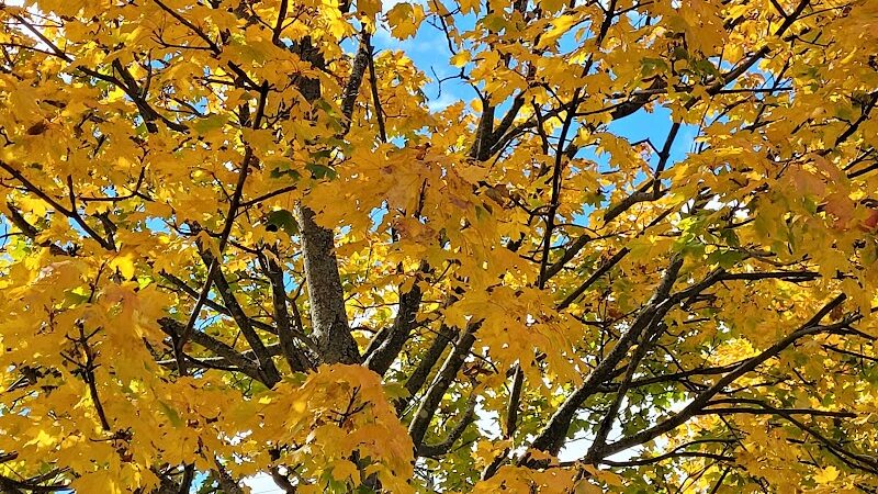 Trenton Community Park - Trenton, OH