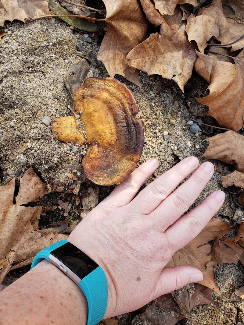 Trail Head - Trotwood, OH