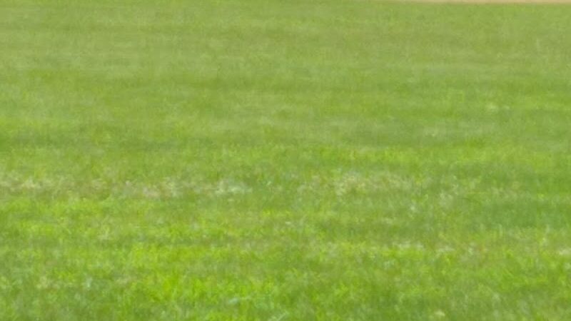 Boyer Park - Troy, OH