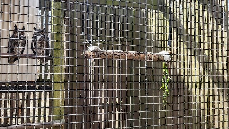 Brukner Nature Center - Troy, OH