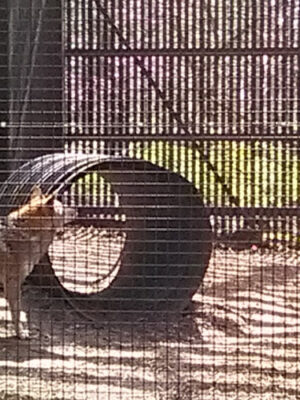 Brukner Nature Center