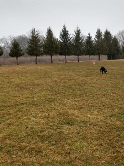 Duke Park - Troy, OH