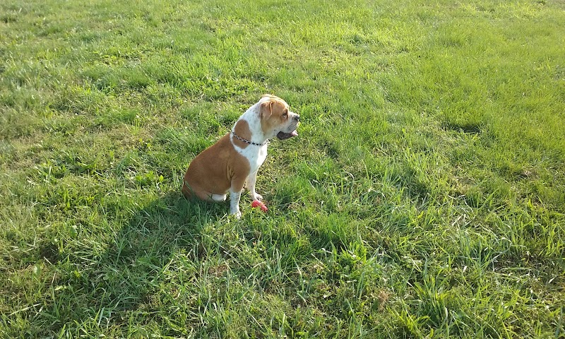 Duke Park - Troy, OH