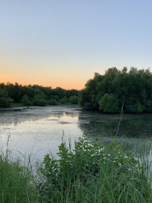 John A. Wannemacher Nature Reserve