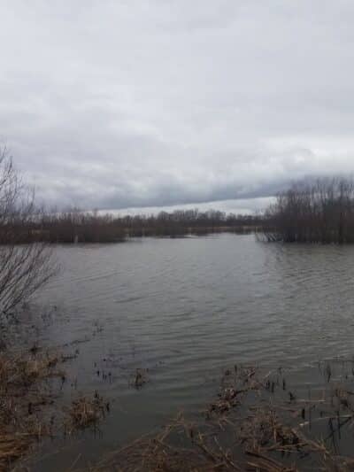 John A. Wannemacher Nature Reserve - Troy, OH