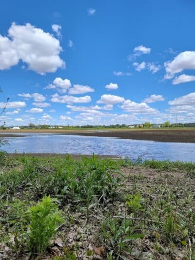 Miami Recreation Trails - Troy, OH