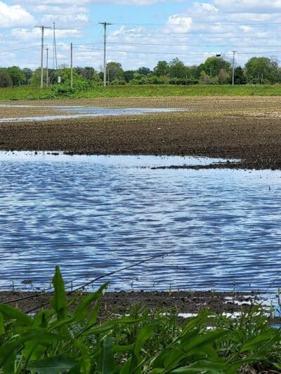 Miami Recreation Trails - Troy, OH