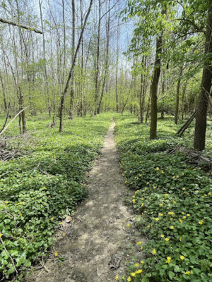 TMBA Troy Mountain BIke Area (Open sunrise to sunset)
