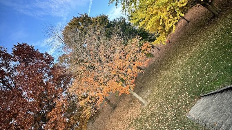 Troy City Park - Troy, OH