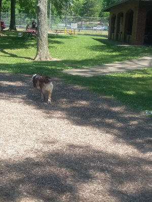 Troy City Park