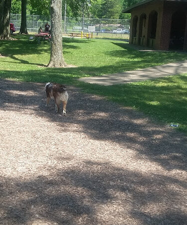 Troy City Park