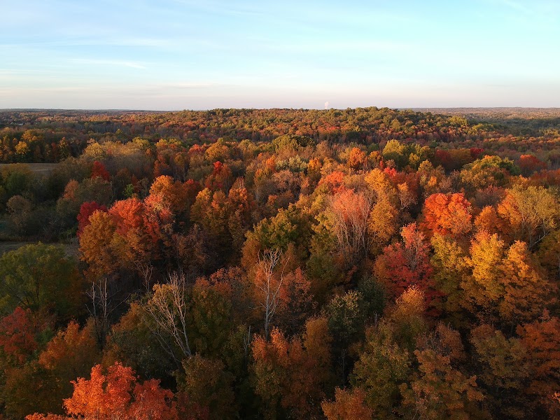 Liberty Park Recreation Area and Dog Park - Twinsburg, OH