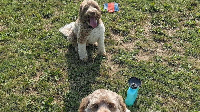 Twinsburg Dog Park - Twinsburg, OH