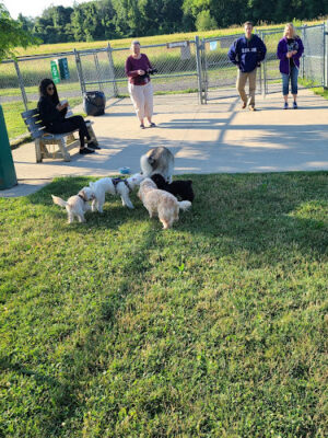 Twinsburg Dog Park